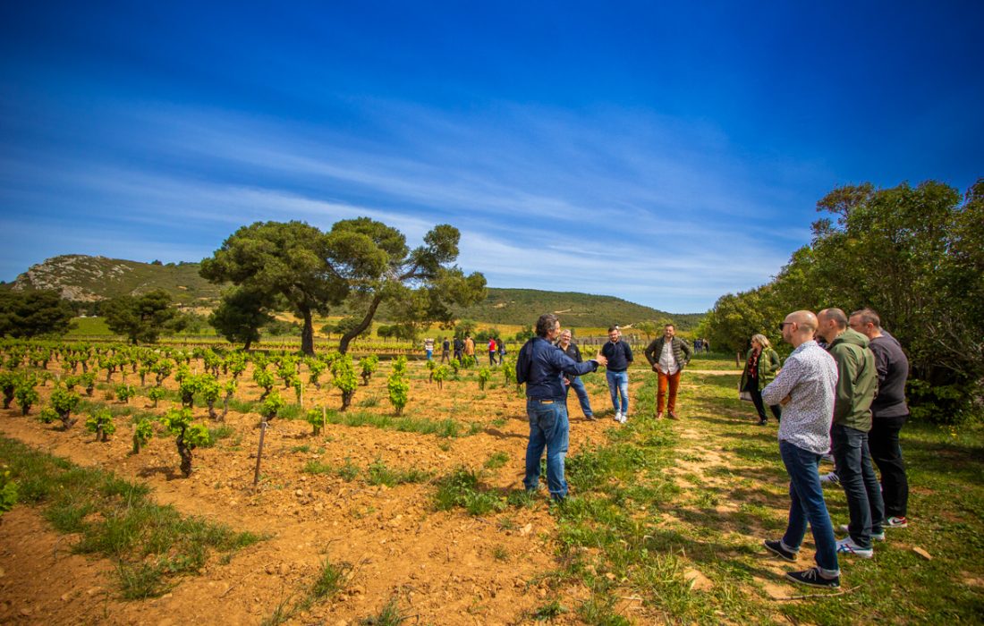 Visite_aux_Ollieux